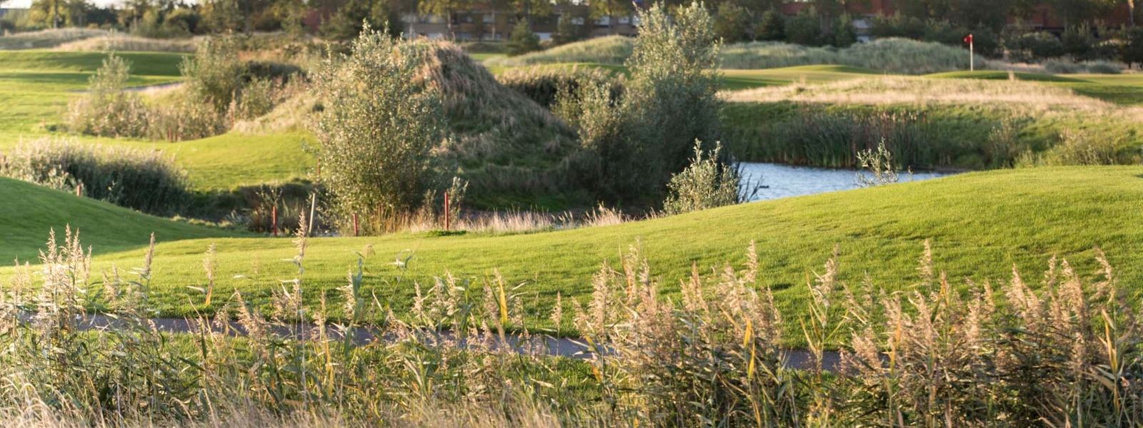 TER HILLE 24sept18 © Pascale Vandewalle _53A8489_web
