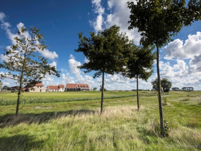 TER HILLE 24sept18 © Pascale Vandewalle _53A9142_web